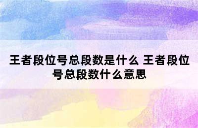 王者段位号总段数是什么 王者段位号总段数什么意思